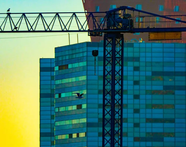 Узор Прямоугольных Окон Современного Офисного Здания Городе Госпитале Барселона Черное — стоковое фото