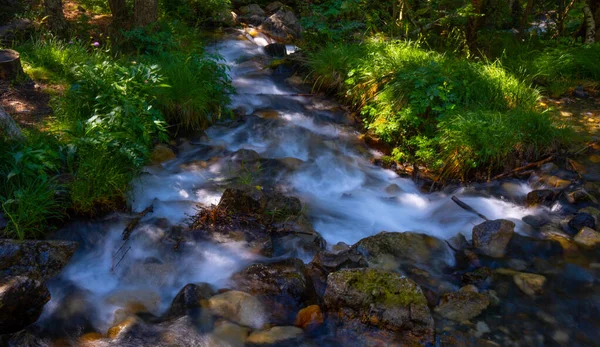 아라곤 산맥에서 천천히 흐르는 아름다운 나뭇잎 사이로 비치는 — 스톡 사진