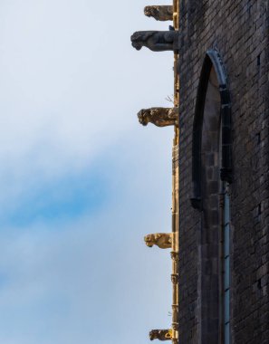 Barselona katedralinin duvarından çıkan beş dev güneş tarafından dikey olarak aydınlatılıyor.
