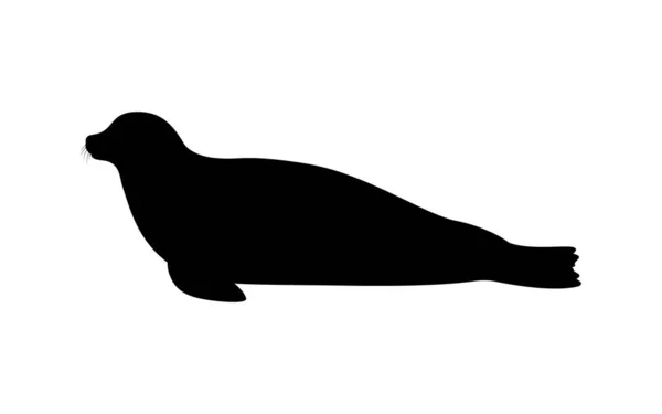Силуэт тюленя — стоковый вектор