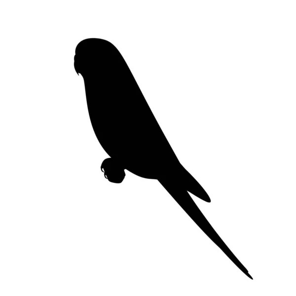 Sylwetka siedzącej papużki — Wektor stockowy