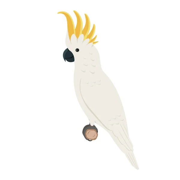 Papagaio-da-cacatua sentado em um ramo — Vetor de Stock