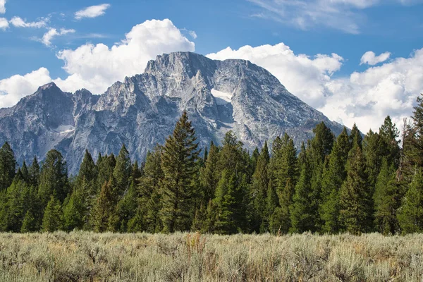 Landscape of a meadow and evergreen forest with Mount Moran rising in the distance. Taken from the Cathedral Group turnout in Grand Teton National Park.