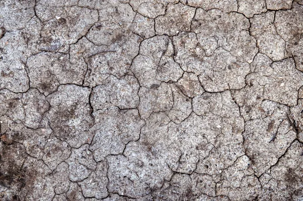 Drought, climate change, global changes in nature. Cataclysms. Hunger. Cracked ground. Closeup of dry fissure ground. Gray crack on earth texture. erosion