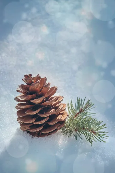 Cone Pinheiro Num Snowdrift Conceito Natal Decoração Natural Ramo Coníferas — Fotografia de Stock