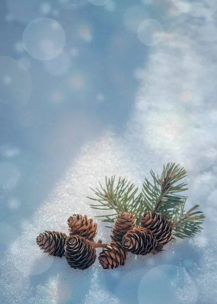 Cartão Natal Cone Pinheiro Ramo Verde Neve Copie Espaço Para — Fotografia de Stock