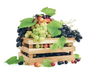 Bir demet üzüm. Sonbahar arkaplanı. Sonbahar bolluğunun sembolü olarak olgun renkli üzümlerin çeşitliliği. Üzümlü sepet. Şarap yapımı. İzole edilmiş. Diyet.