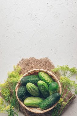 Hafif beton zeminde salatalık. Salatalık yazın hasat edilir. Salata ya da konserve için salatalık. Yaz sebzeleri. Yaz sebzeleri. Salatalık turşusu. Kilo verme zorluğu. Organik yiyecekler.