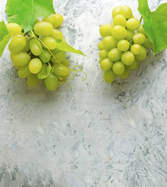 Yeşil asmanın üst görüntüsü, ve eski gri taş masa zemininde olgun üzüm. Şarap dükkanı şaraphanesi ya da şarap tatma konsepti. Üzüm. Üzüm yapraklı bir demet beyaz üzüm. Pankart. Boşluğu kopyala