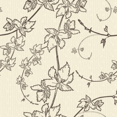 Zıpla bitki dalı çizimi. Yaprak ve koni köşeli şifalı bitkiler oyma stili çizer. Bira paketleme logosu için çizimler, etiket, amblem, paketleme, desen