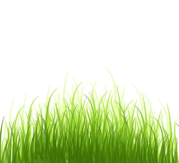 Zielona Wiosenna Łąka Świeże Rośliny Kolorowe Sezonowy Wzrost Trawy Elementy — Zdjęcie stockowe