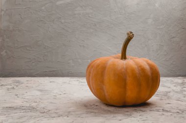 Balkabağı çiftçisi pazarı. Sonbahar sebze hasadı. Balkabağı hasadı. Sonbahar balkabağı mevsimi. Ekim ve Kasım. Sonbahar zamanı. Sağlıklı yiyecekler. Cadılar Bayramı teması. Şükran Günü ve sonbahar tatili.