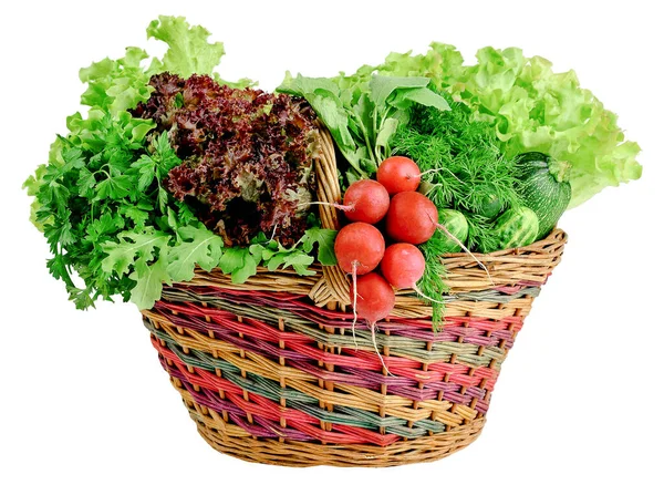 Gurken Zucchini Rettich Salat Koriander Petersilie Dill Einem Korb Vor — Stockfoto