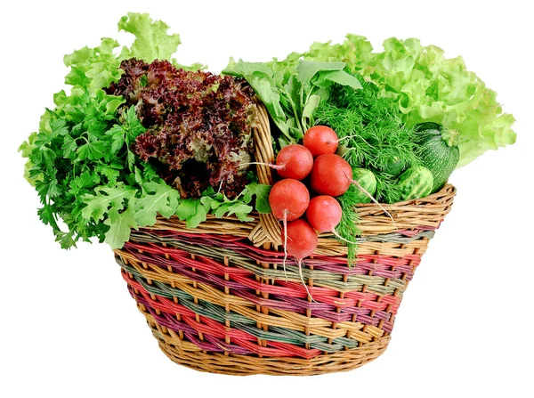 Cucumber Zucchini Radish Lettuce Cilantro Parsley Dill Basket White Background — Stock Photo, Image