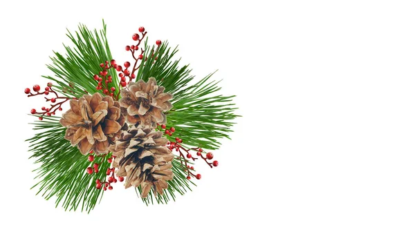 Spruce Branch Fir Cones Christmas Design Element Invitations Greeting Cards — ストック写真