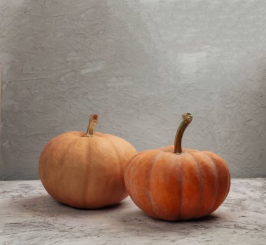 Balkabağı çiftçisi pazarı. Sonbahar sebze hasadı. Balkabağı hasadı. Sonbahar balkabağı mevsimi. Ekim ve Kasım. Sonbahar zamanı. Sağlıklı yiyecekler. Cadılar Bayramı teması. Şükran Günü ve sonbahar tatili.