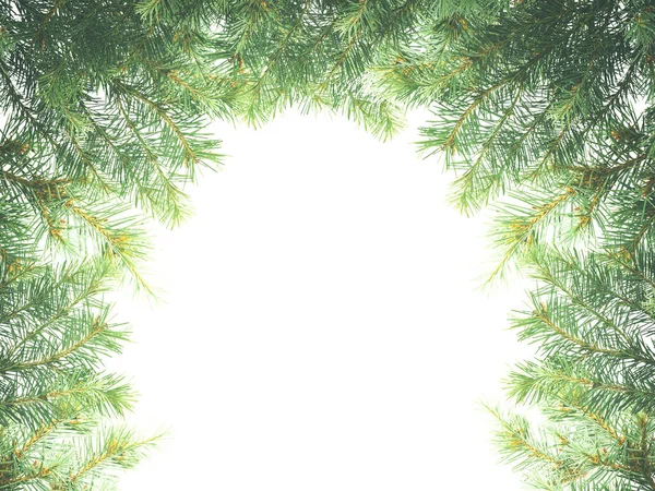 クリスマスツリーのフレーム 木の枝が太い Webバナー クリスマスカードやクリスマスのお祝いの組成のための装飾フレーム要素 フラットレイアウト トップビュー スペースのコピー — ストック写真