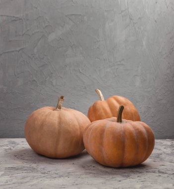 Balkabağı çiftçisi pazarı. Sonbahar sebze hasadı. Balkabağı hasadı. Sonbahar balkabağı mevsimi. Ekim ve Kasım. Sonbahar zamanı. Sağlıklı yiyecekler. Cadılar Bayramı teması. Şükran Günü ve sonbahar tatili.