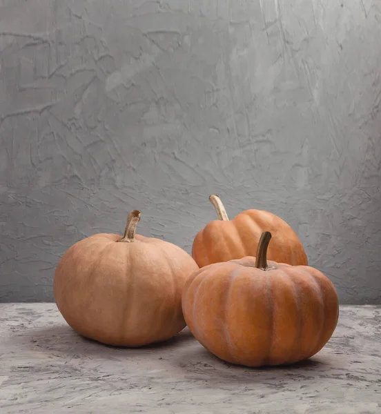 Balkabağı çiftçisi pazarı. Sonbahar sebze hasadı. Balkabağı hasadı. Sonbahar balkabağı mevsimi. Ekim ve Kasım. Sonbahar zamanı. Sağlıklı yiyecekler. Cadılar Bayramı teması. Şükran Günü ve sonbahar tatili.