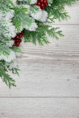 Çam ağacı dalları don, doğa kış doğal arka plan, karla kaplı kozalaklı iğneler yakın çekim, yumuşak odak ve kopyalama alanı ile kaplıdır. Noel tatili geçmişi.