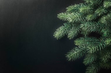 Noel çanları ve ağacı. Köknar ağacı, Noel tasarımları için arka plan. Çanları olan bir Noel ağacının dallı Noel arkaplanı. Noel tebriği, kartpostal, pankart için arka plan.  