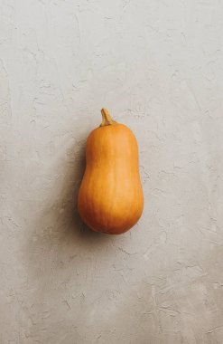 Beyaz arka planda taze turuncu balkabağı. Diyet yemek. Balkabağı çorbası. Balkabağı turtası. Balkabağı lapası. Sonbahar konsepti. Şükran Günü. Sonbaharda hasat zamanı. Turuncu balkabakları. Çiftçi pazarı.