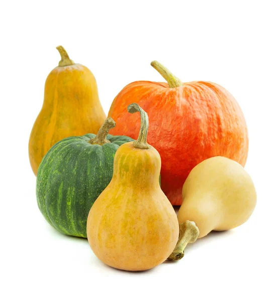 Composizione Zucche Decorazione Halloween Ricco Raccolto Zucche Zucca Sfondo Bianco — Foto Stock