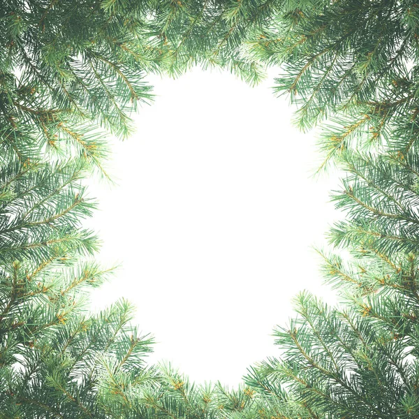 Background Christmas Tree Branches Space Text Fir Tree Border Frame — ストック写真