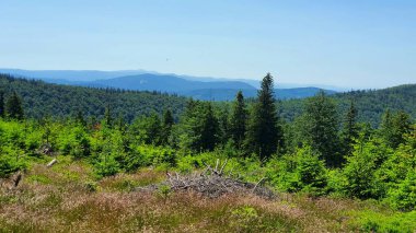 Silezya ve Polonya 'nın daha küçük bölgelerindeki güzel Beskidy dağları..