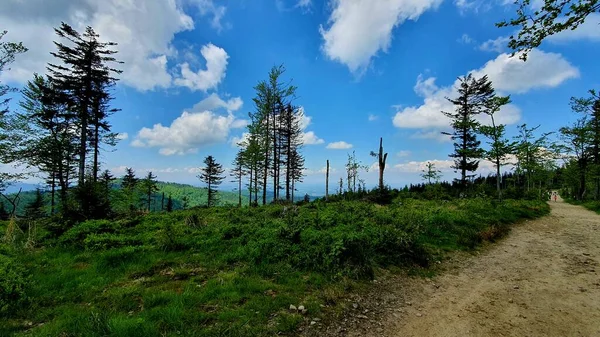 Schöne Landschaft Der Polnischen Beskiden Den Woiwodschaften Schlesien Und Kleinpolen — Stockfoto