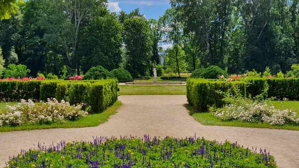 Piękny Park Lecie — Zdjęcie stockowe