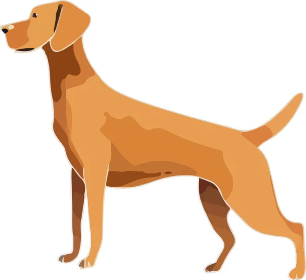 Beyaz arka planda izole edilmiş bir köpek. Vektör illüstrasyonu