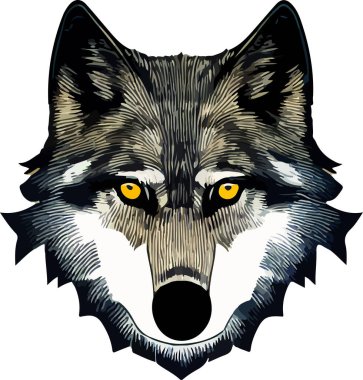 İzole edilmiş kurt yüz vektör çizimi. çiz