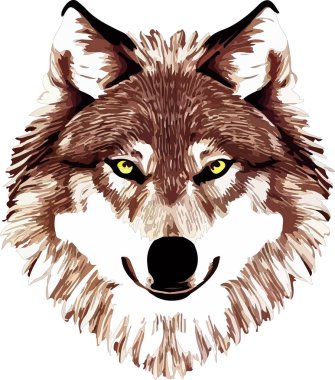 İzole edilmiş kurt yüz vektör çizimi. çiz
