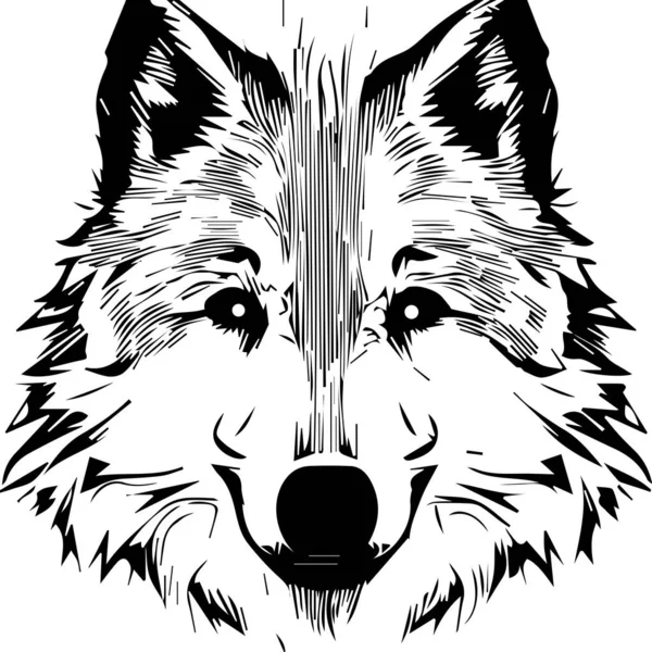 Illustration Vectorielle Isolée Visage Loup Dessiner — Image vectorielle