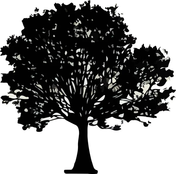 Silhouette Arbre Isolée Sur Fond Blanc Illustration Vectorielle — Image vectorielle