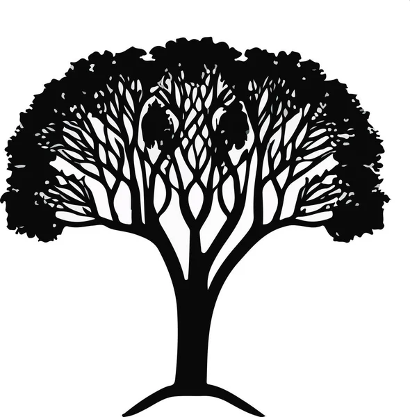 Sílhueta Árvore Isolada Sobre Fundo Branco Ilustração Vetorial — Vetor de Stock