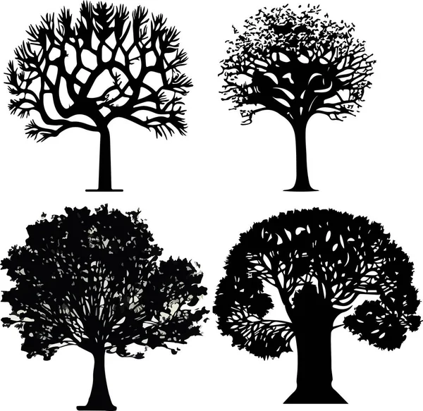 Silhuetas Árvore Coleção Fundo Branco Ilustração Vetorial Ilustração Vetorial — Vetor de Stock