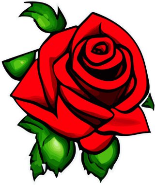 Beyaz arka plandaki güzel çiçek gül, çiçek, vektör