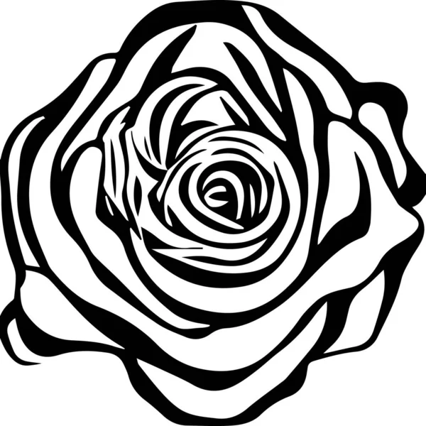 Belle Fleur Sur Fond Blanc Rose Fleur Vecteur — Image vectorielle