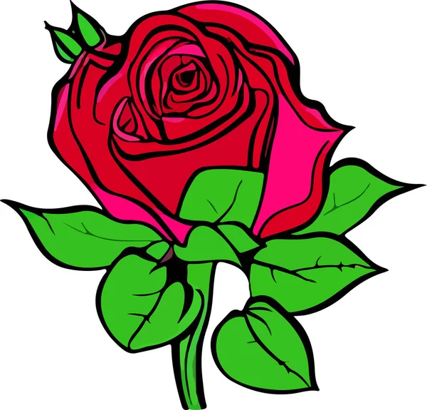 Belle Fleur Sur Fond Blanc Rose Fleur Vecteur — Image vectorielle