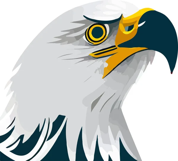 Weißkopfseeadler Isoliert Auf Weiß Vektorillustration — Stockvektor