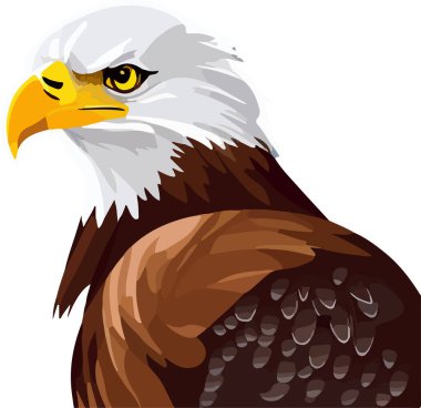 Kel Kartal beyazı izole etti. Vektör illüstrasyonu