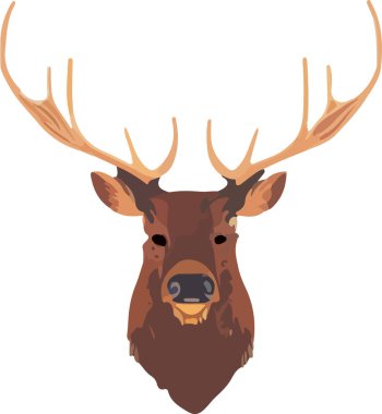 Geyik başı, izole edilmiş orman hayvanı. Vektör illüstrasyonu