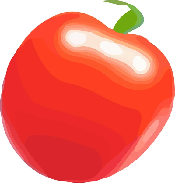 Vector Illustration Fresh Tomato Vector Illustration — Stock Vector