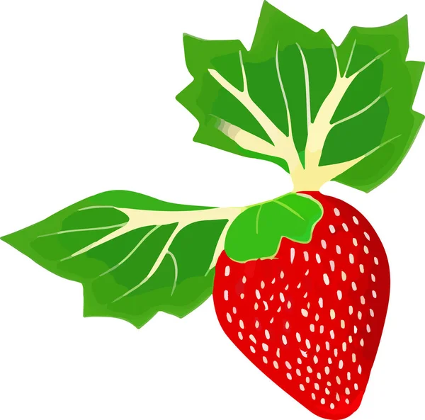 草莓图标孤立在白色 矢量图解 矢量说明 — 图库矢量图片