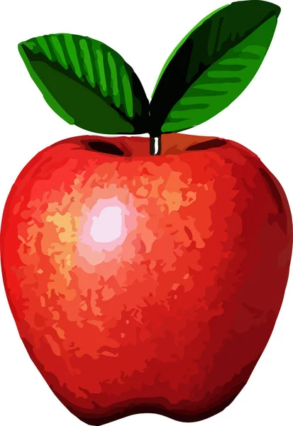 Ensemble Pomme Rouge Des Pommes Réalistes Illustration Détaillée Isolée Sur — Image vectorielle