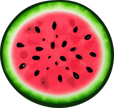 Vektör karpuz. Meyve illüstrasyonu. Sağlıklı gıda tasarımı. Vektör illüstrasyonu