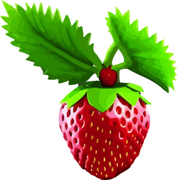 在白色背景上分离的草莓3D矢量图标 现实的甜水果 矢量说明 — 图库矢量图片