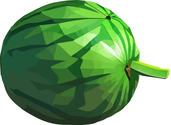 Vector Watermeloen Fruit Illustratie Gezond Voedselontwerp Vectorillustratie — Stockvector